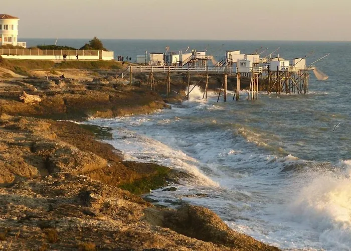 T1 Bis Cosy Avec Terrasse, Parking Et Calme Absolu Royan